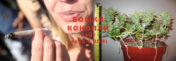 индика Михайловск