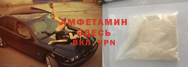 индика Михайловск