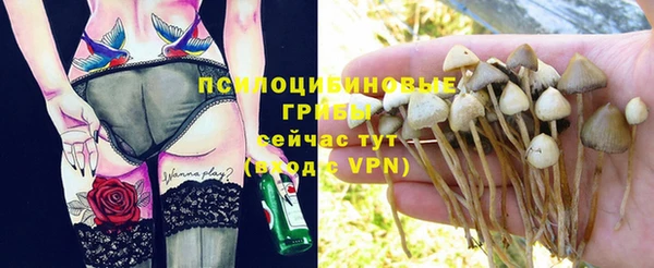 хмурый Медногорск