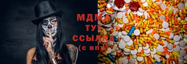 трава Гусиноозёрск