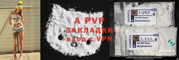 индика Михайловск